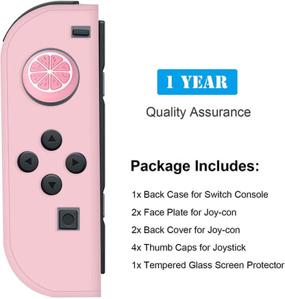 Nintendo Switch Protector Case